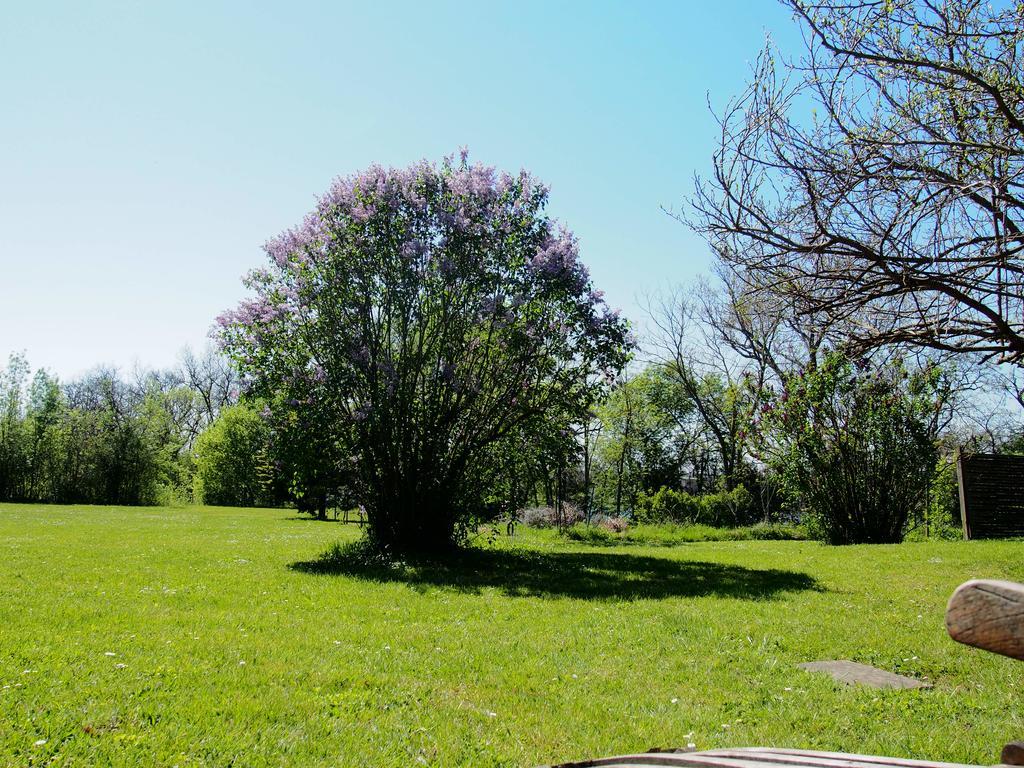 Gite De Charme Au Bord Du Tarn Marssac-sur-Tarn 외부 사진